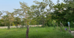 Terreno en venta en Buena Vista