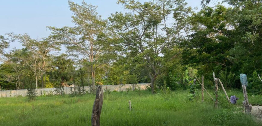 Terreno en venta en Buena Vista