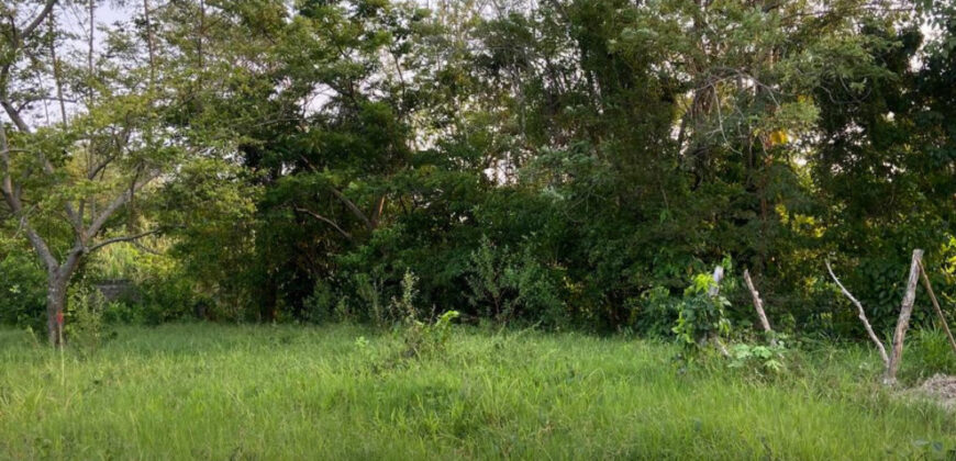 Terreno en venta en Buena Vista