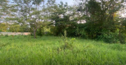 Terreno en venta en Buena Vista