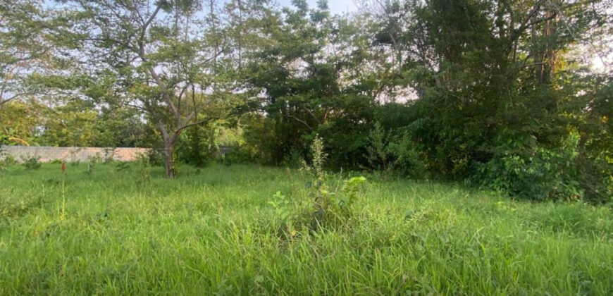 Terreno en venta en Buena Vista