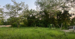 Terreno en venta en Buena Vista