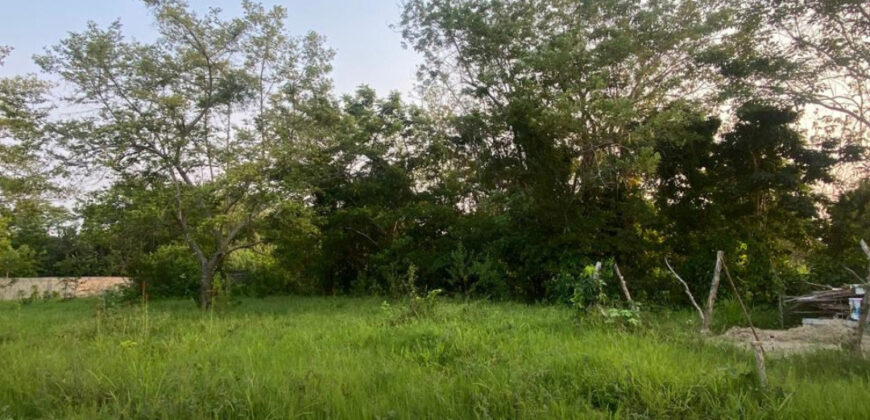 Terreno en venta en Buena Vista