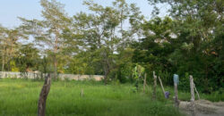 Terreno en venta en Buena Vista