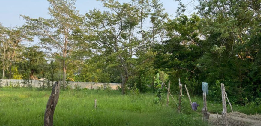 Terreno en venta en Buena Vista