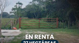 SE RENTAN 27 HECTÁREAS