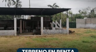 RENTO TERRENO EN LA ZONA CEDROS